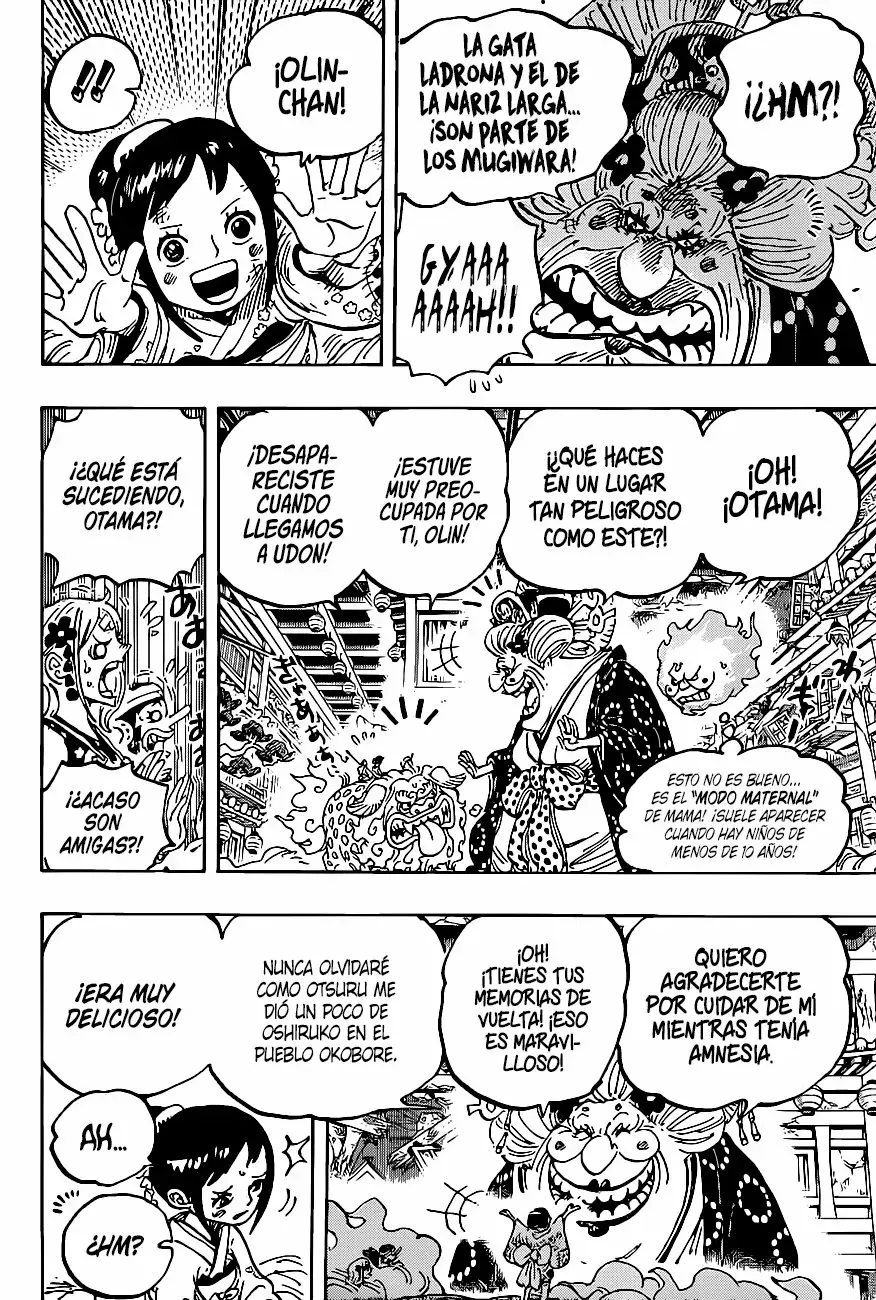 One Piece Capitulo 1011 página 18
