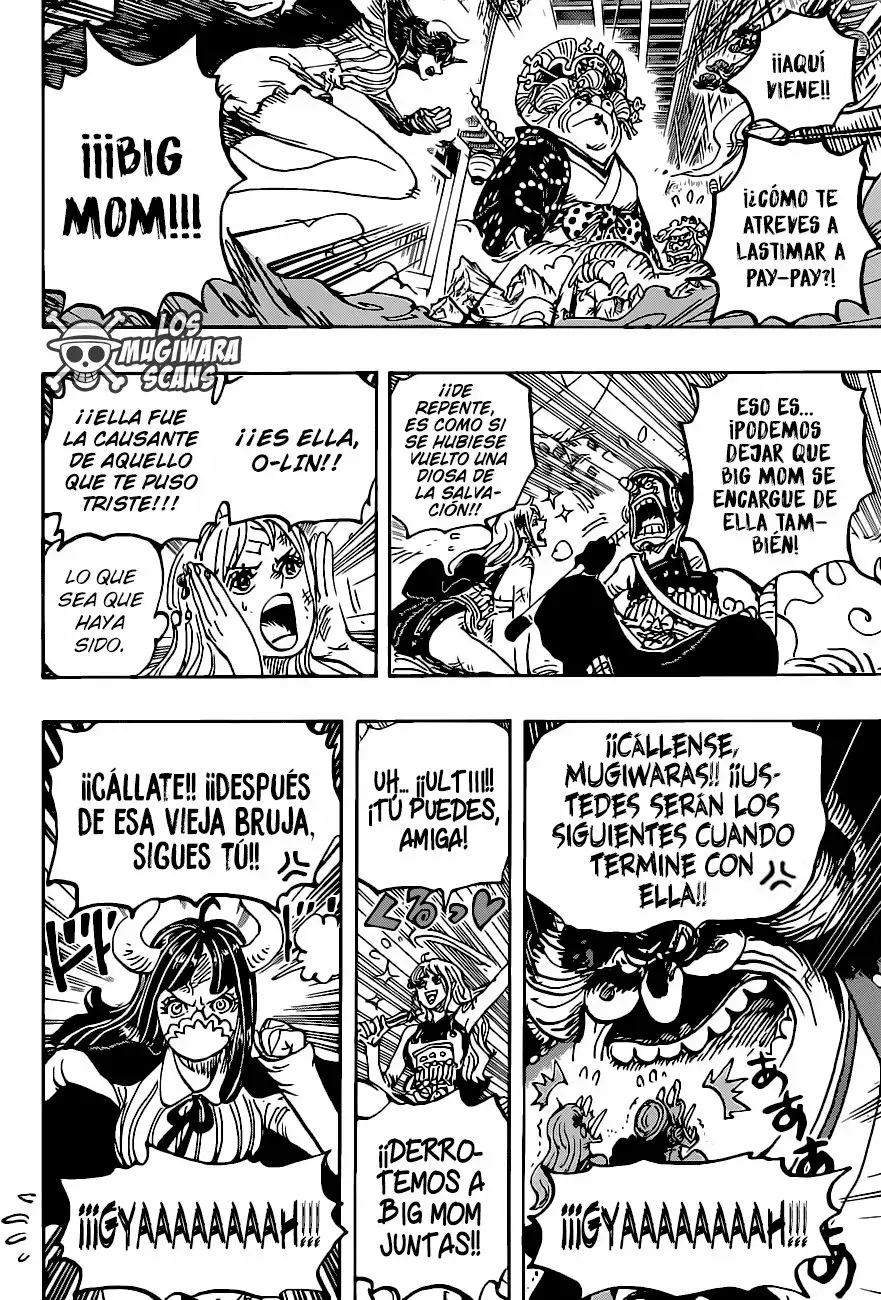 One Piece Capitulo 1012.5 página 13