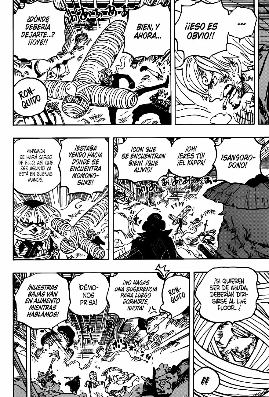 One Piece Capitulo 1012 página 10