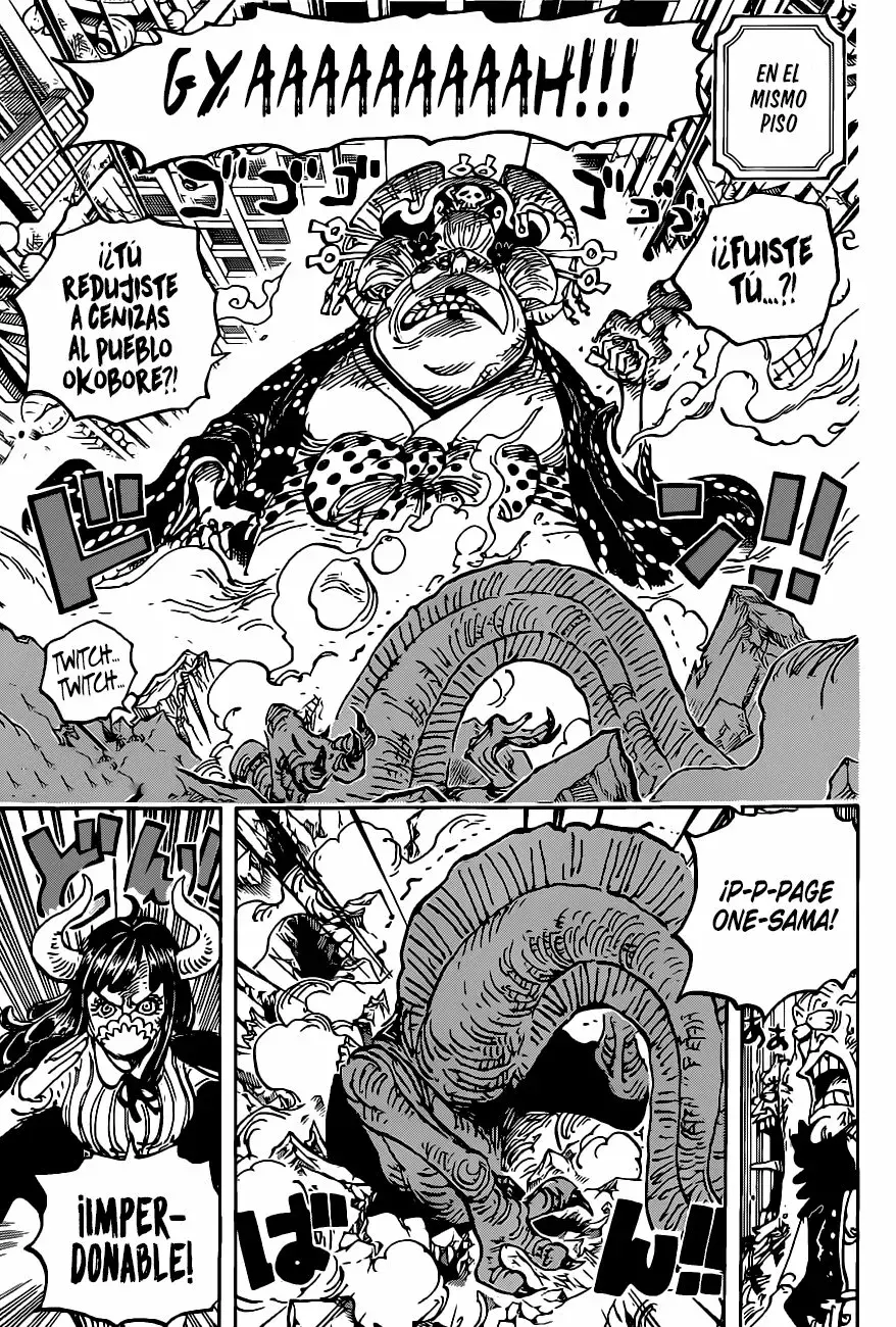 One Piece Capitulo 1012 página 11