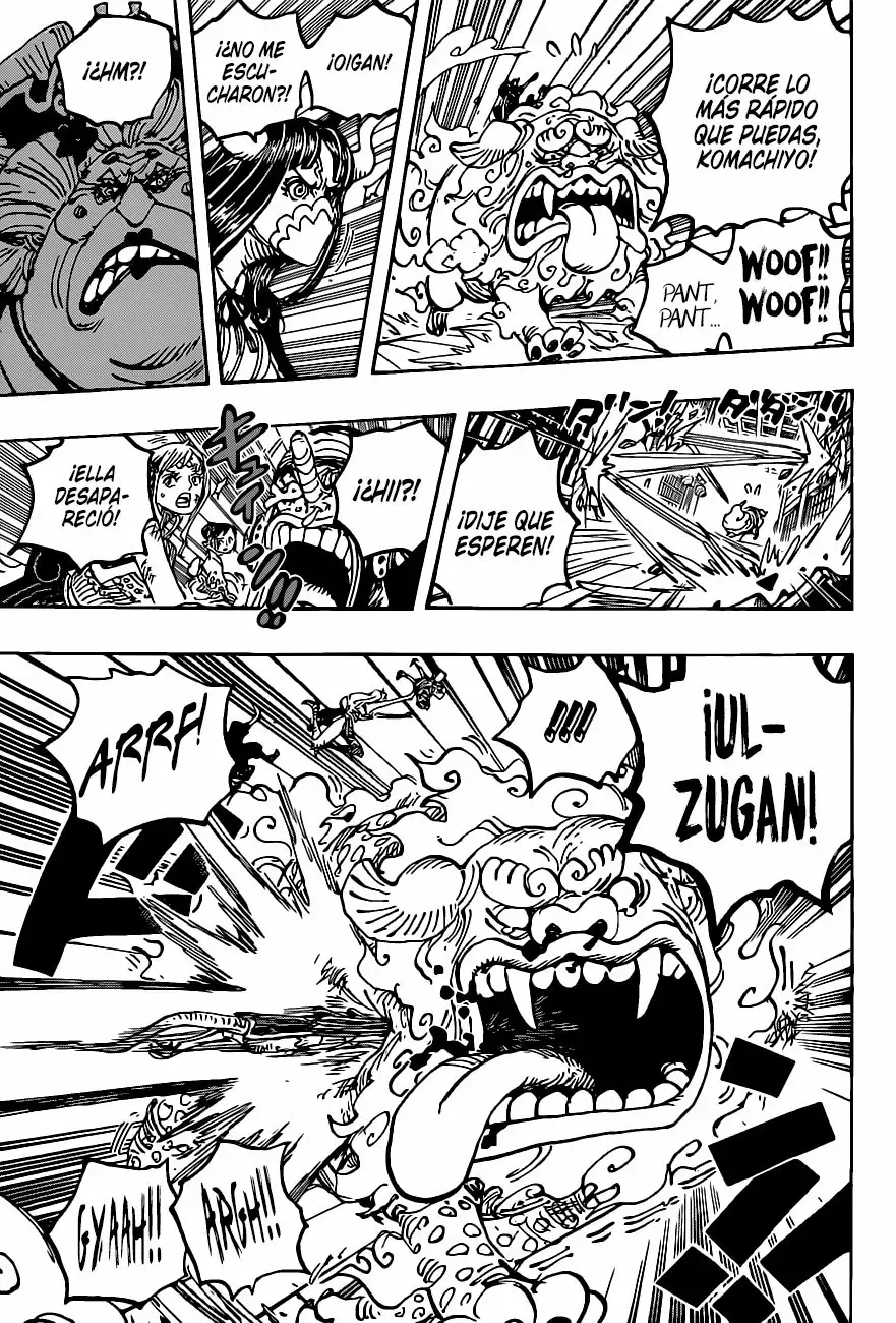 One Piece Capitulo 1012 página 13