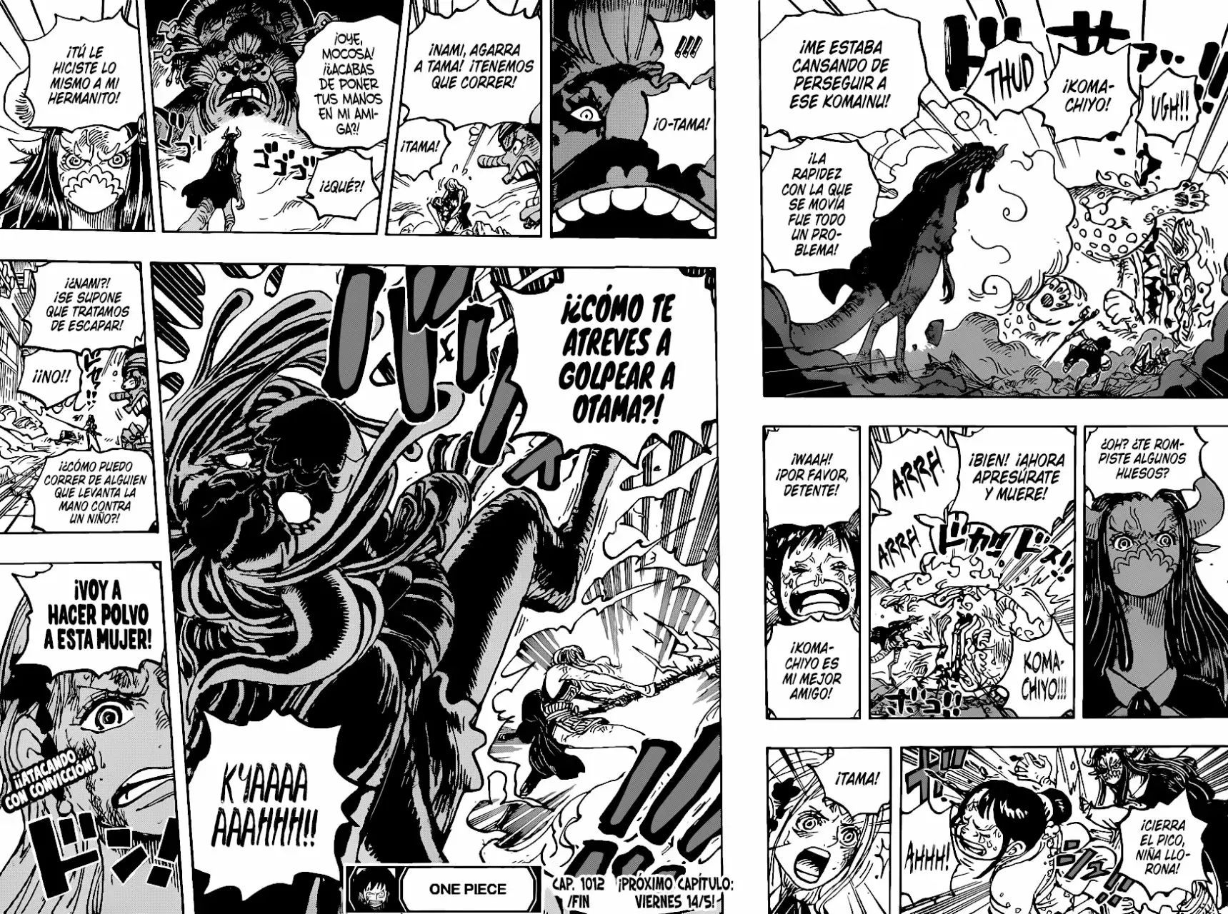 One Piece Capitulo 1012 página 14