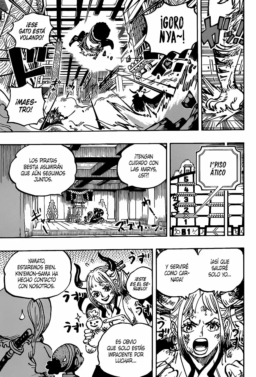 One Piece Capitulo 1012 página 5