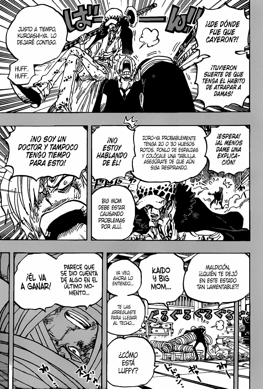 One Piece Capitulo 1012 página 9