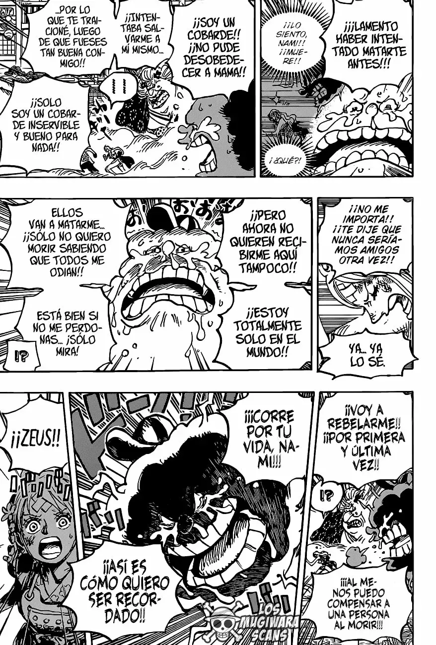 One Piece Capitulo 1013.5 página 11