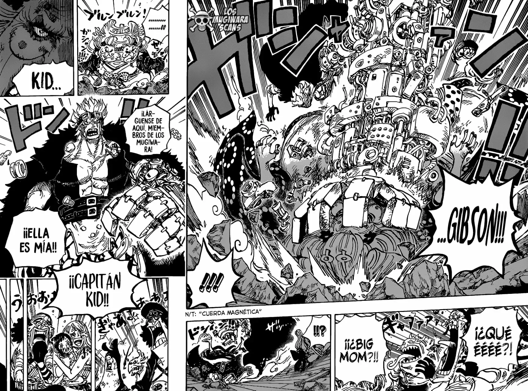 One Piece Capitulo 1013.5 página 14