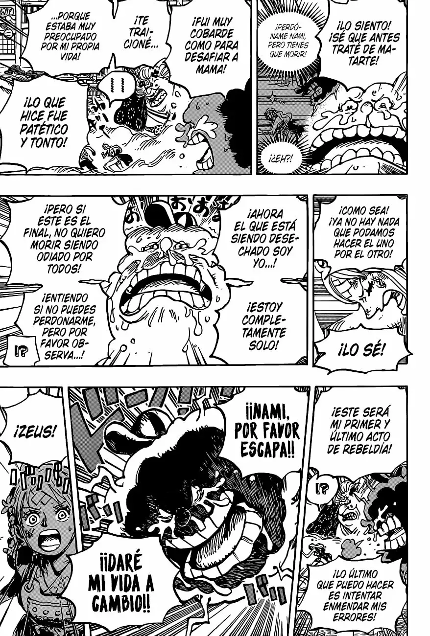 One Piece Capitulo 1013 página 11