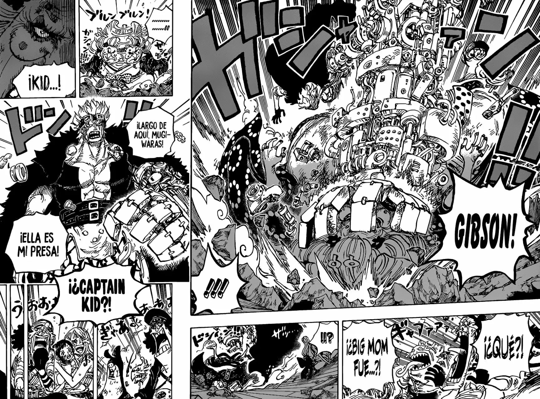 One Piece Capitulo 1013 página 14
