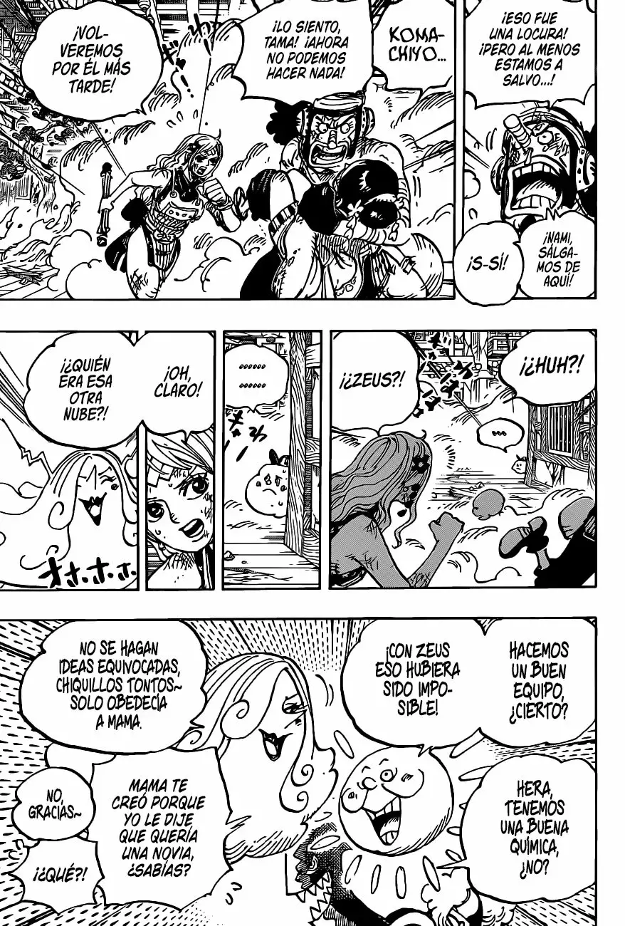One Piece Capitulo 1013 página 7