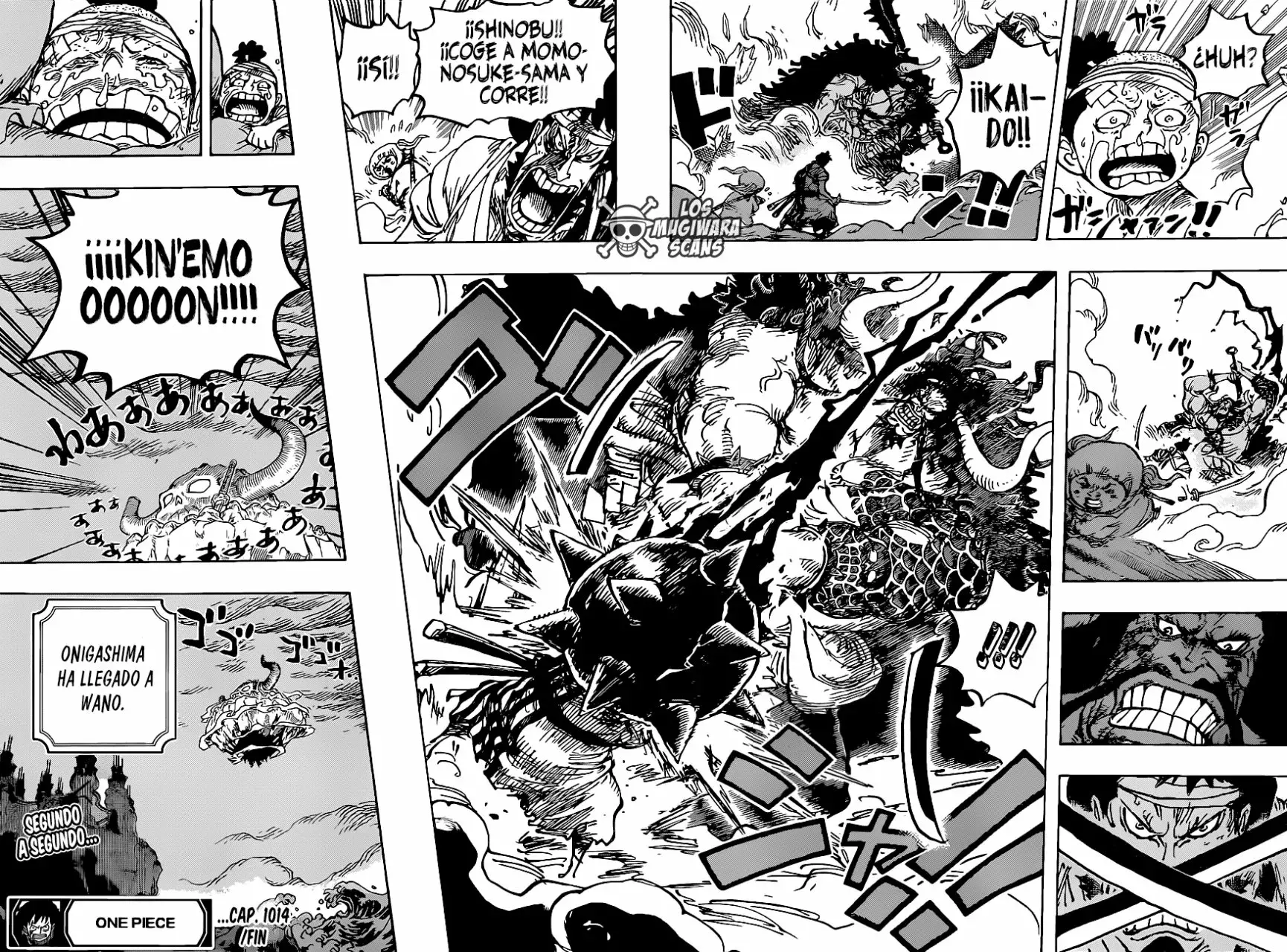 One Piece Capitulo 1014.5 página 15