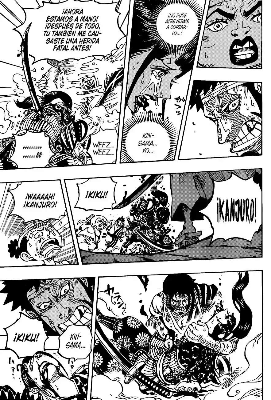 One Piece Capitulo 1014 página 12