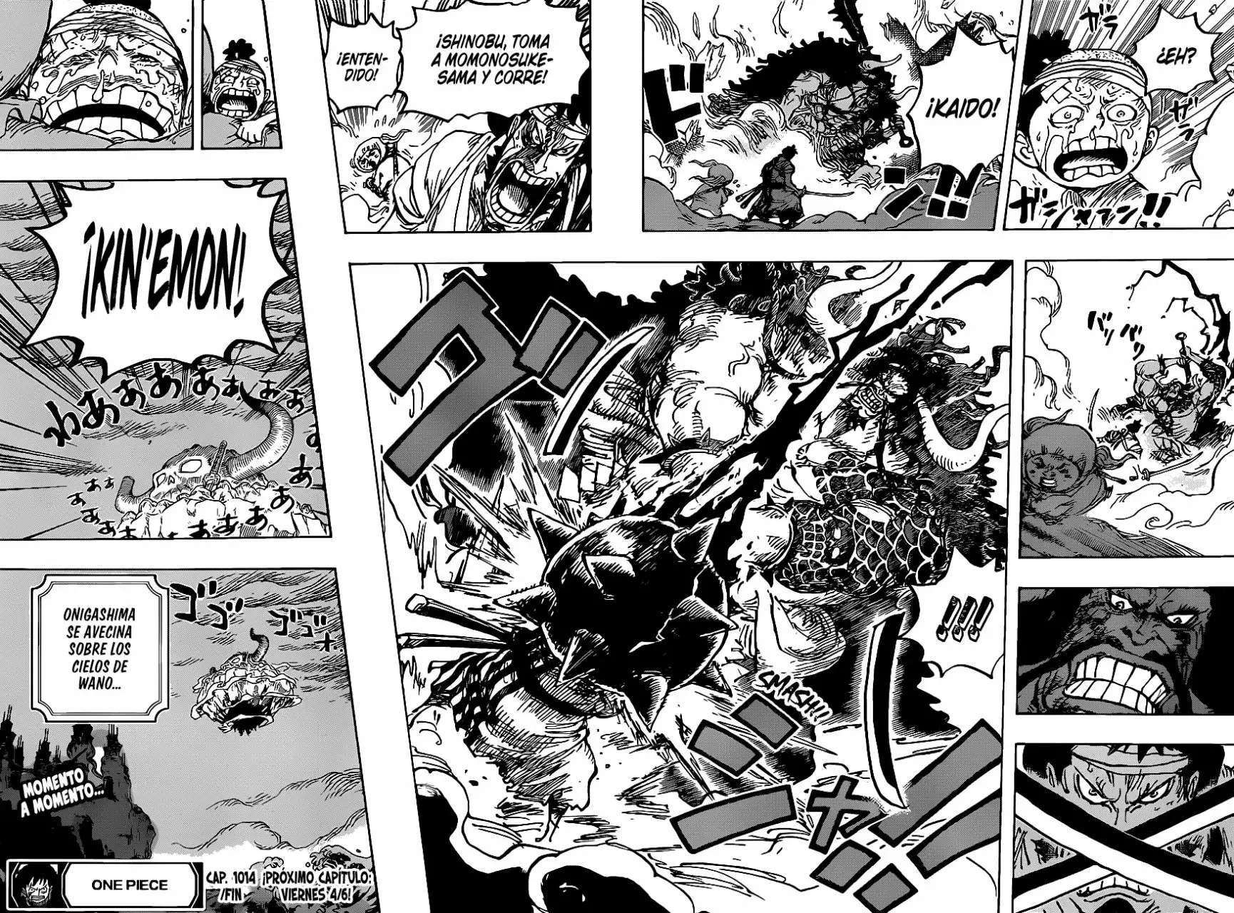 One Piece Capitulo 1014 página 15