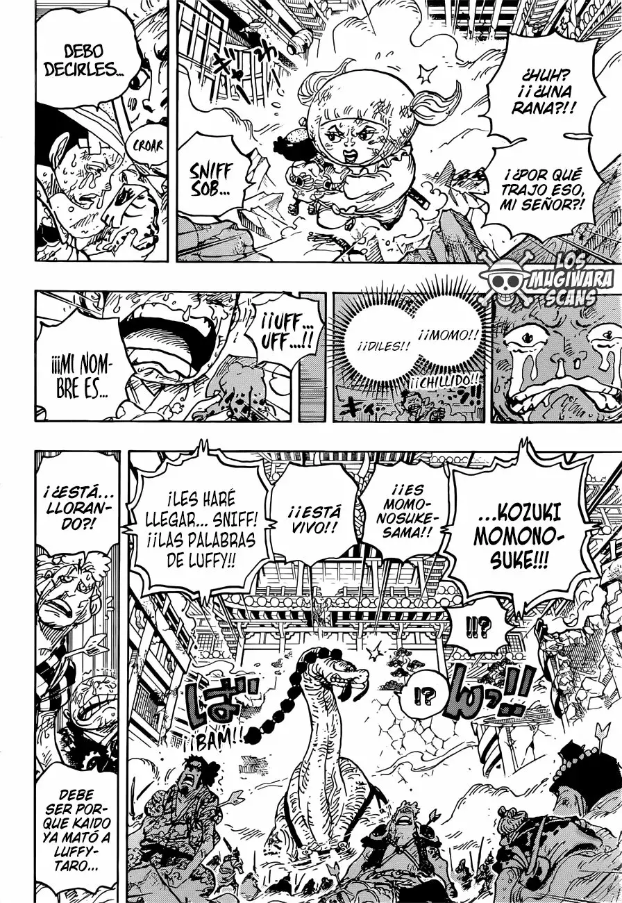 One Piece Capitulo 1015.5 página 12