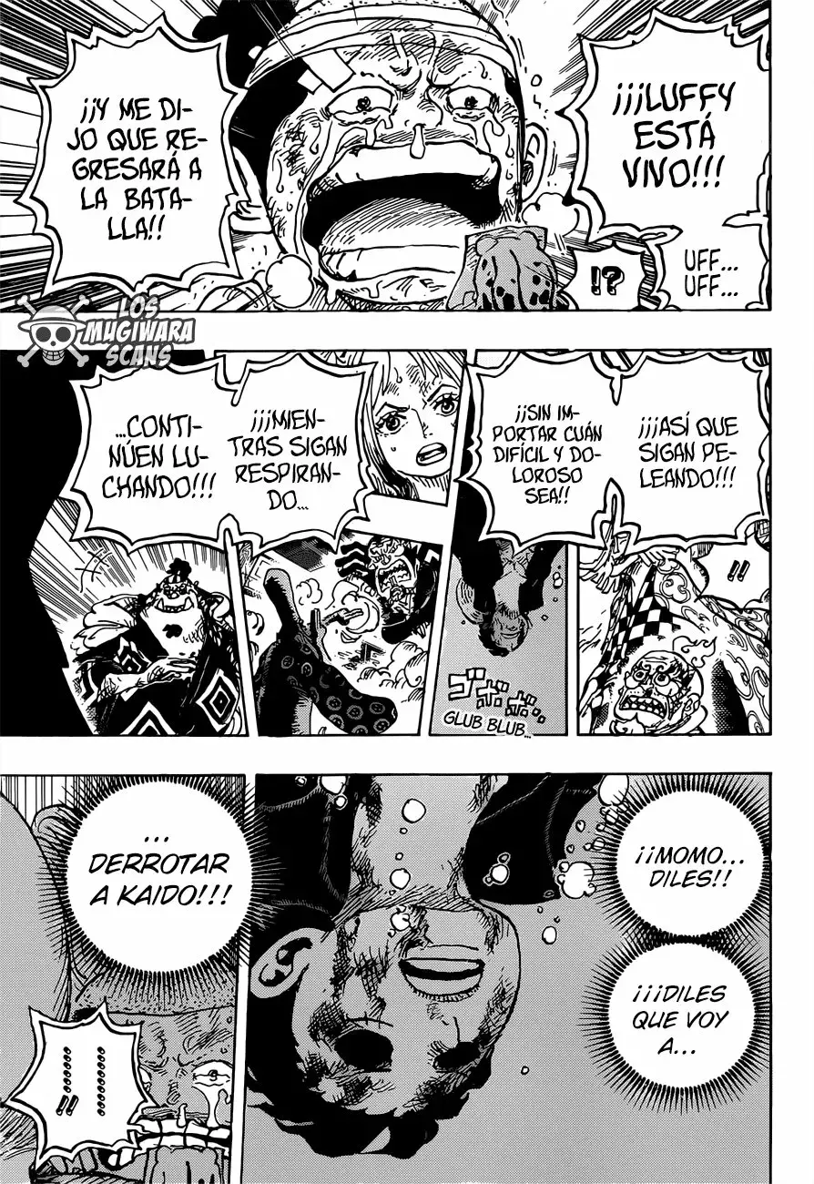 One Piece Capitulo 1015.5 página 13