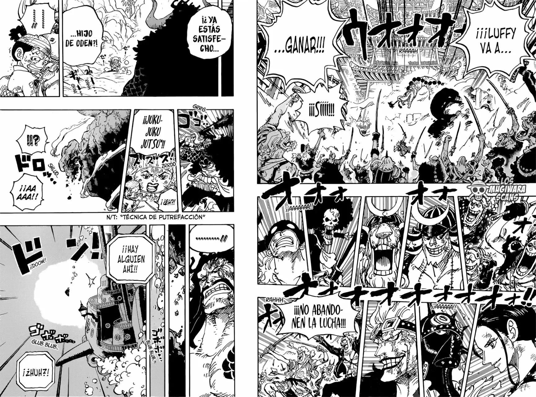One Piece Capitulo 1015.5 página 14