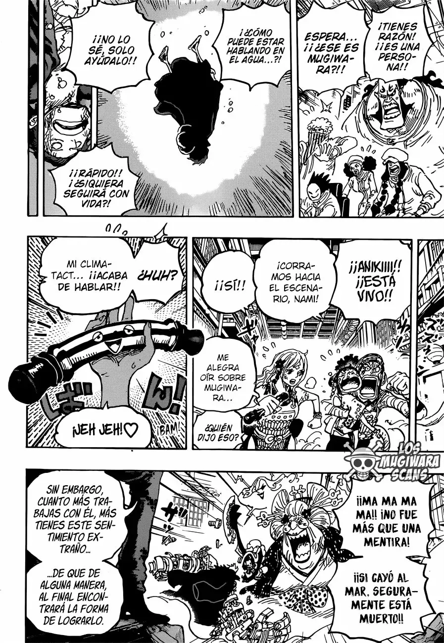 One Piece Capitulo 1015.5 página 15