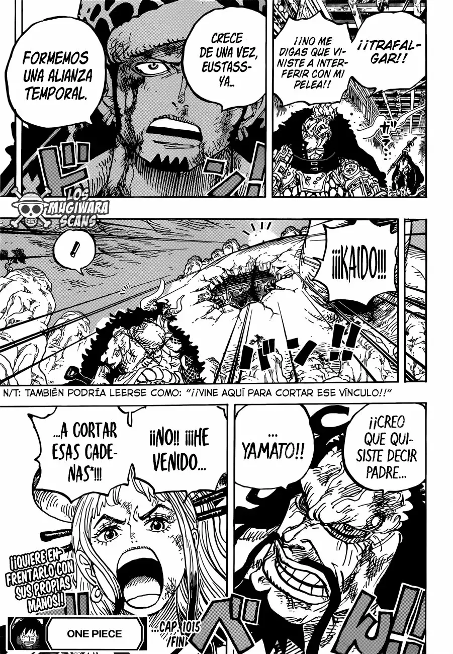 One Piece Capitulo 1015.5 página 16