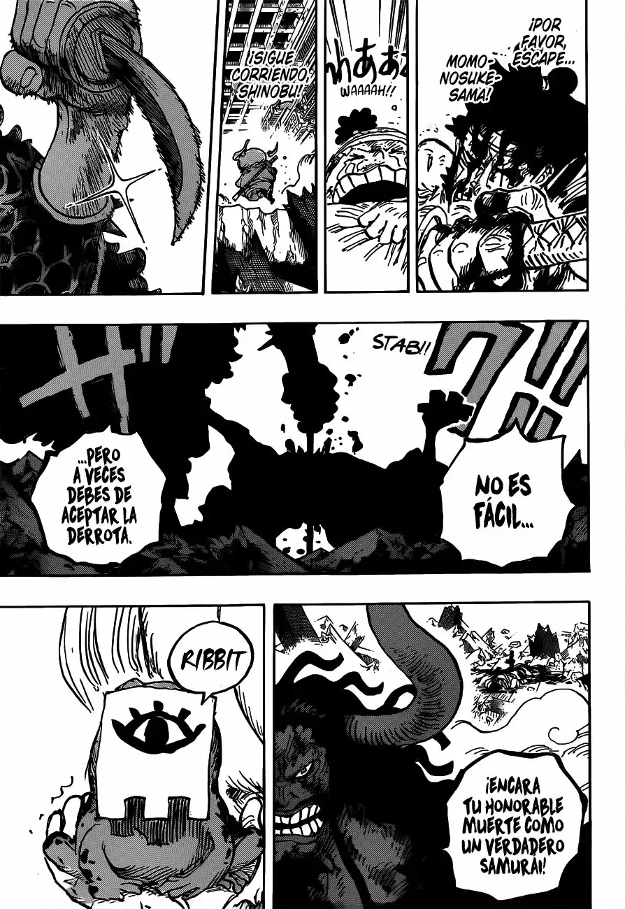 One Piece Capitulo 1015 página 11