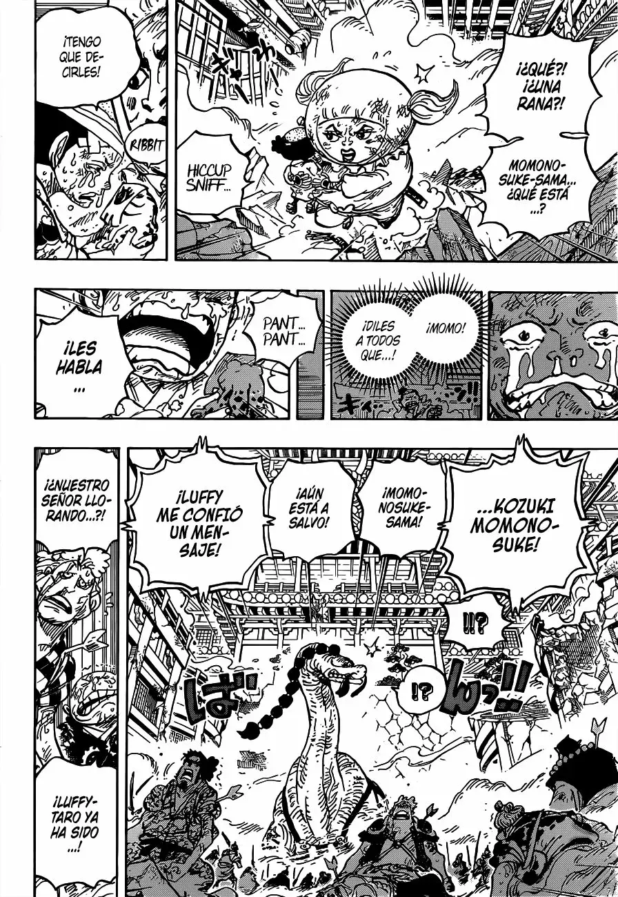 One Piece Capitulo 1015 página 12