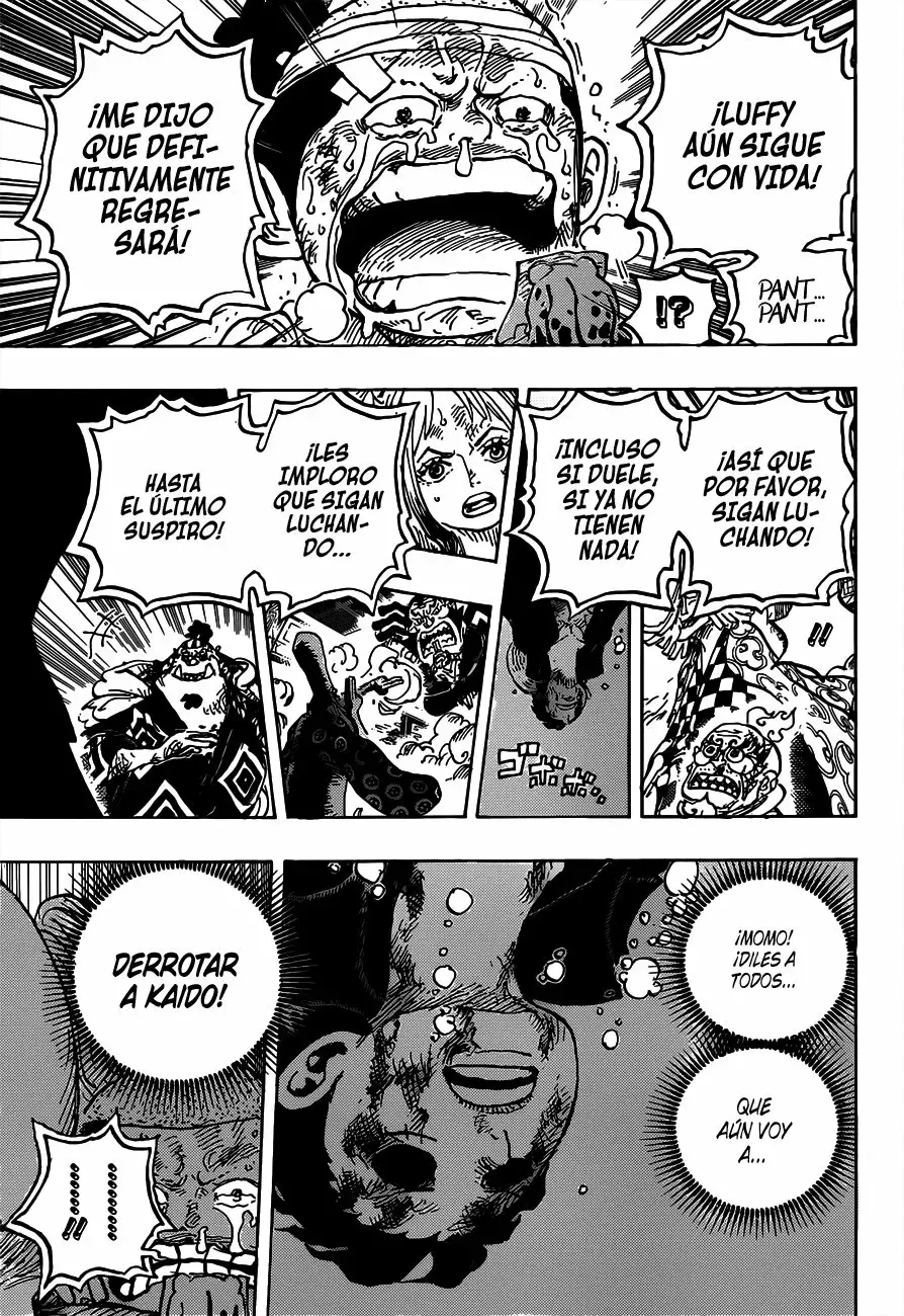 One Piece Capitulo 1015 página 13