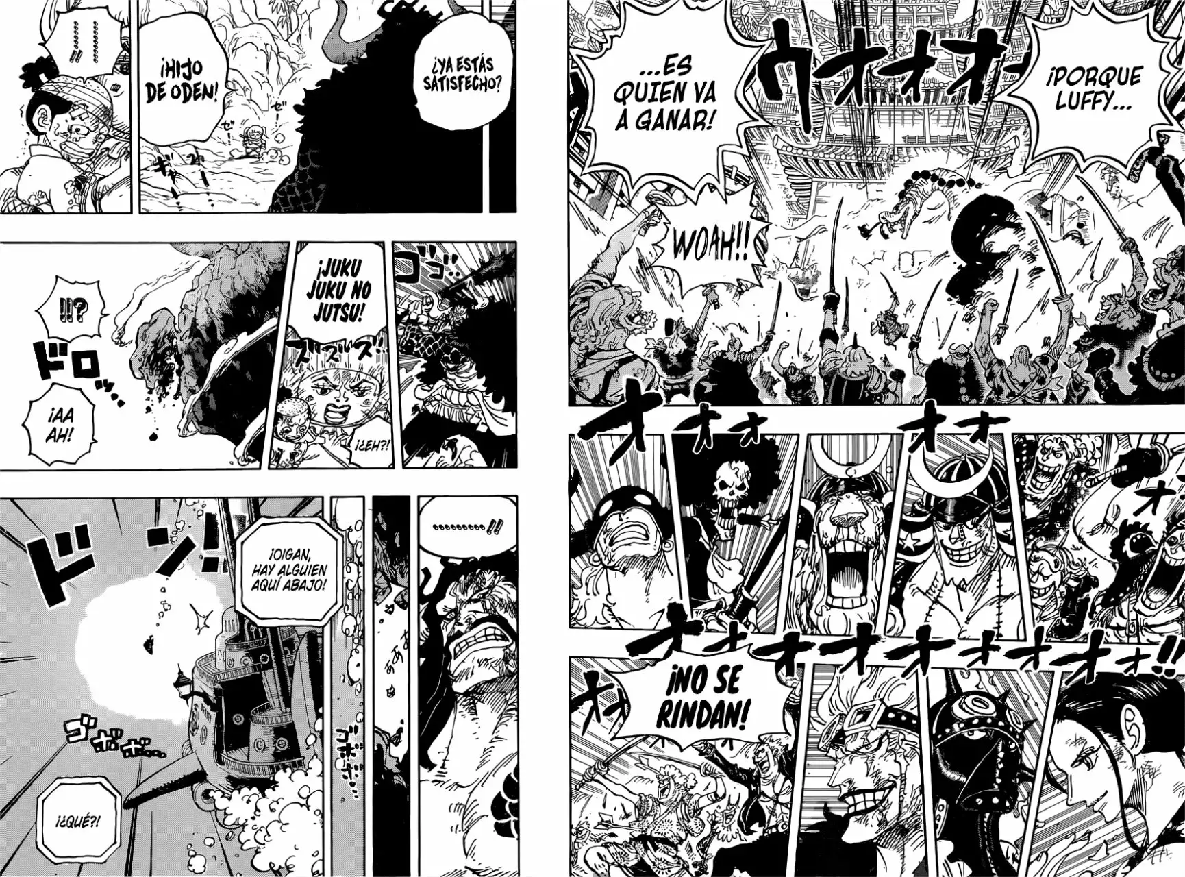 One Piece Capitulo 1015 página 14
