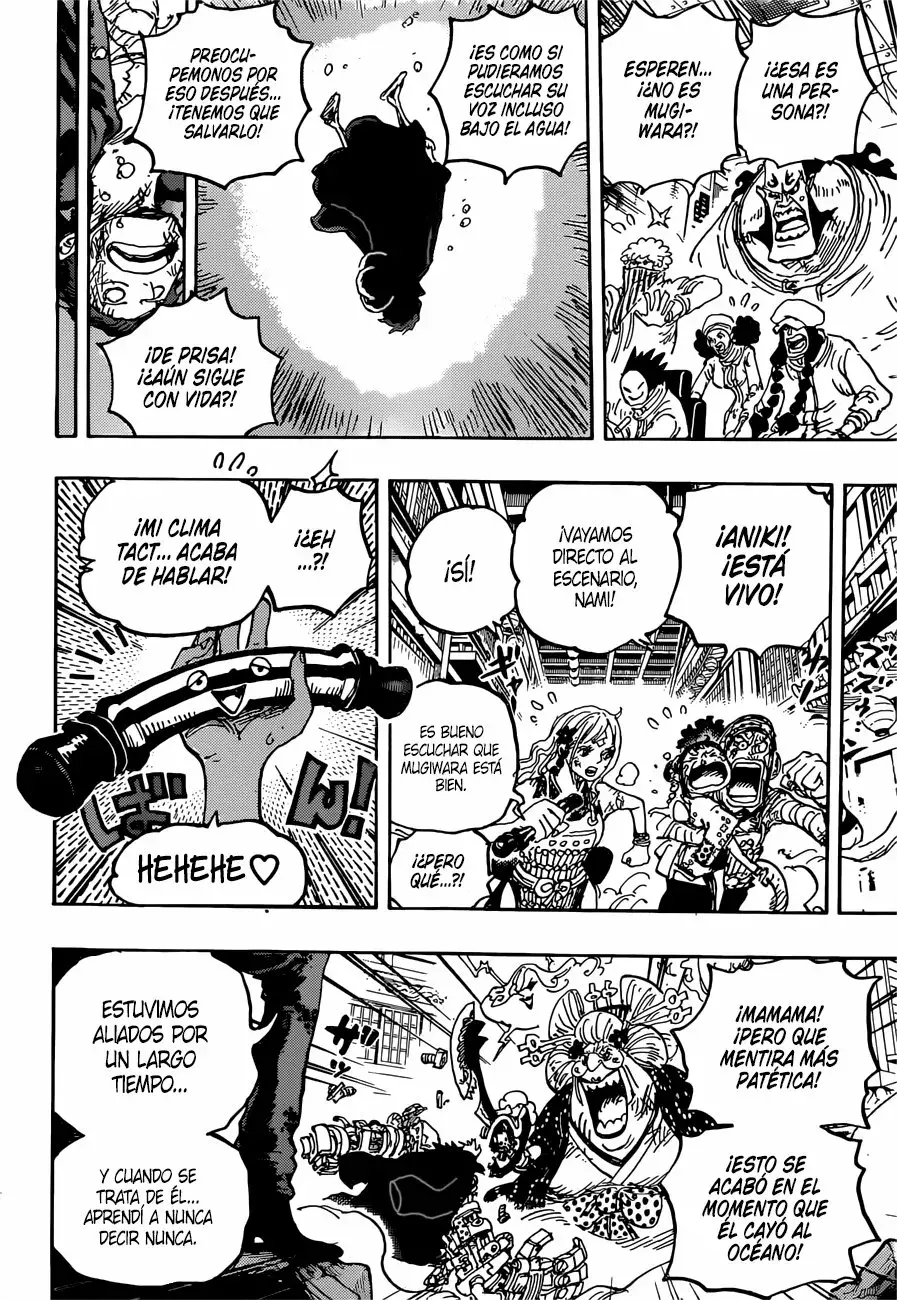 One Piece Capitulo 1015 página 15