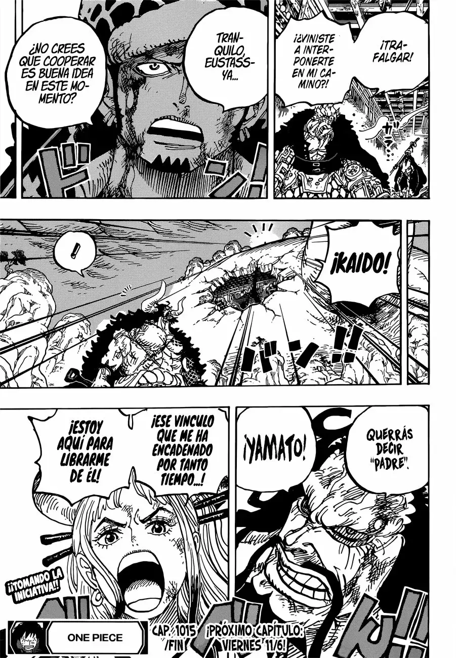 One Piece Capitulo 1015 página 16