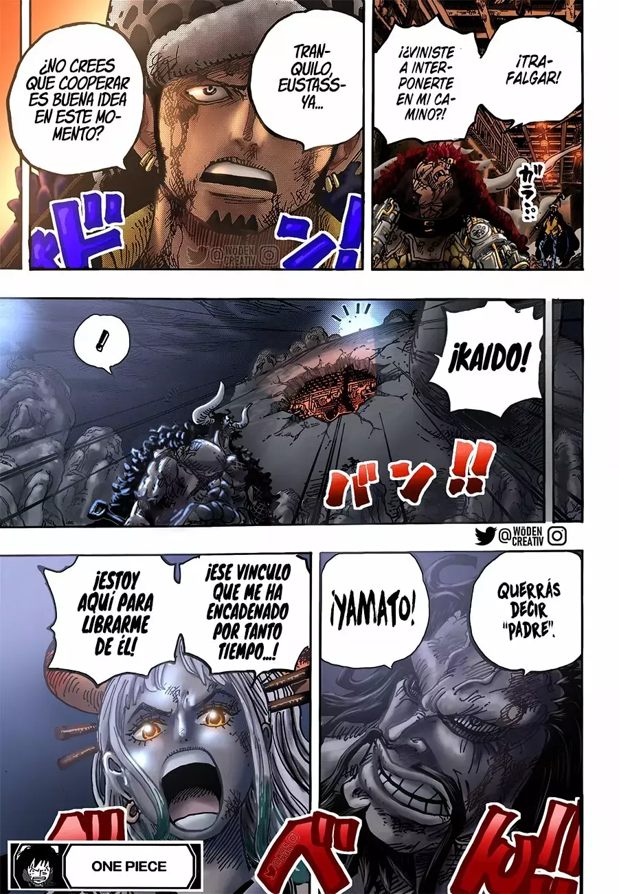 One Piece Capitulo 1015 página 17