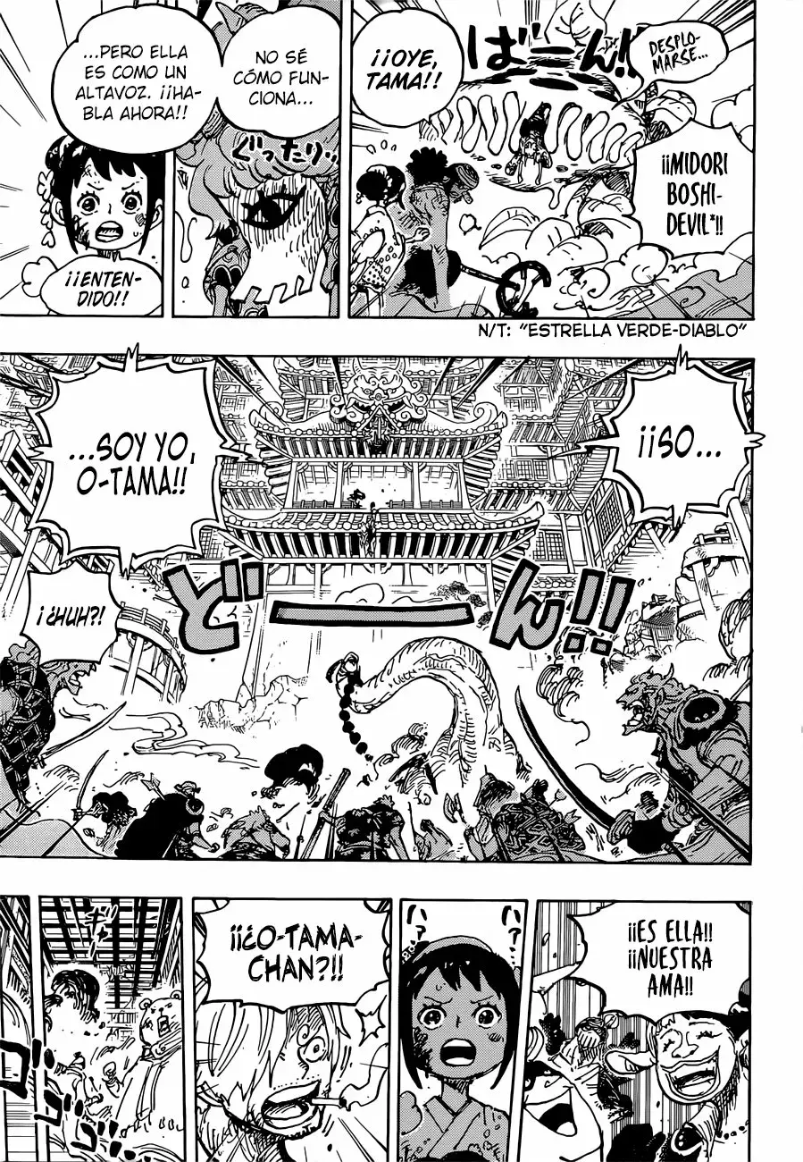 One Piece Capitulo 1016.5 página 13