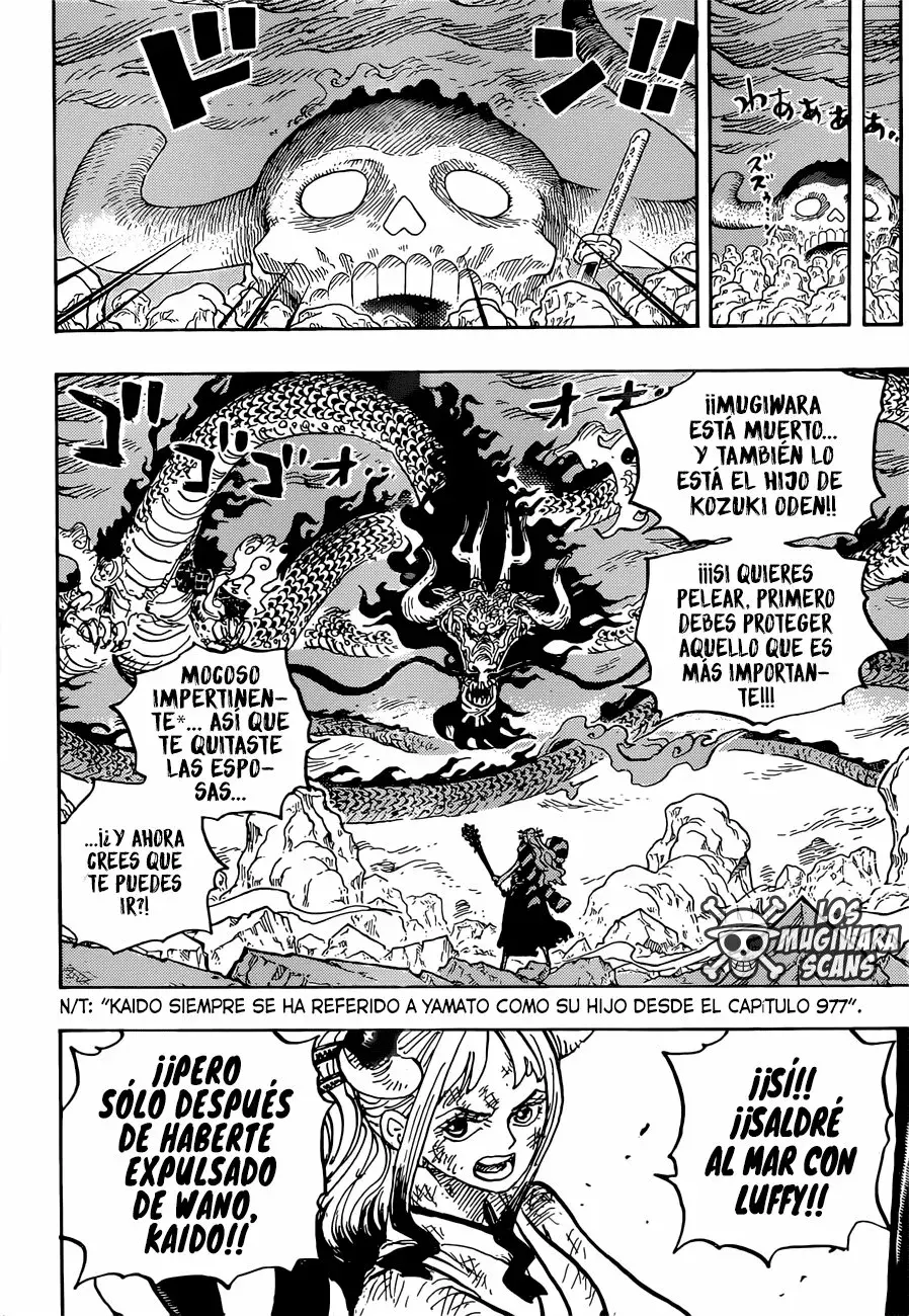 One Piece Capitulo 1016.5 página 14
