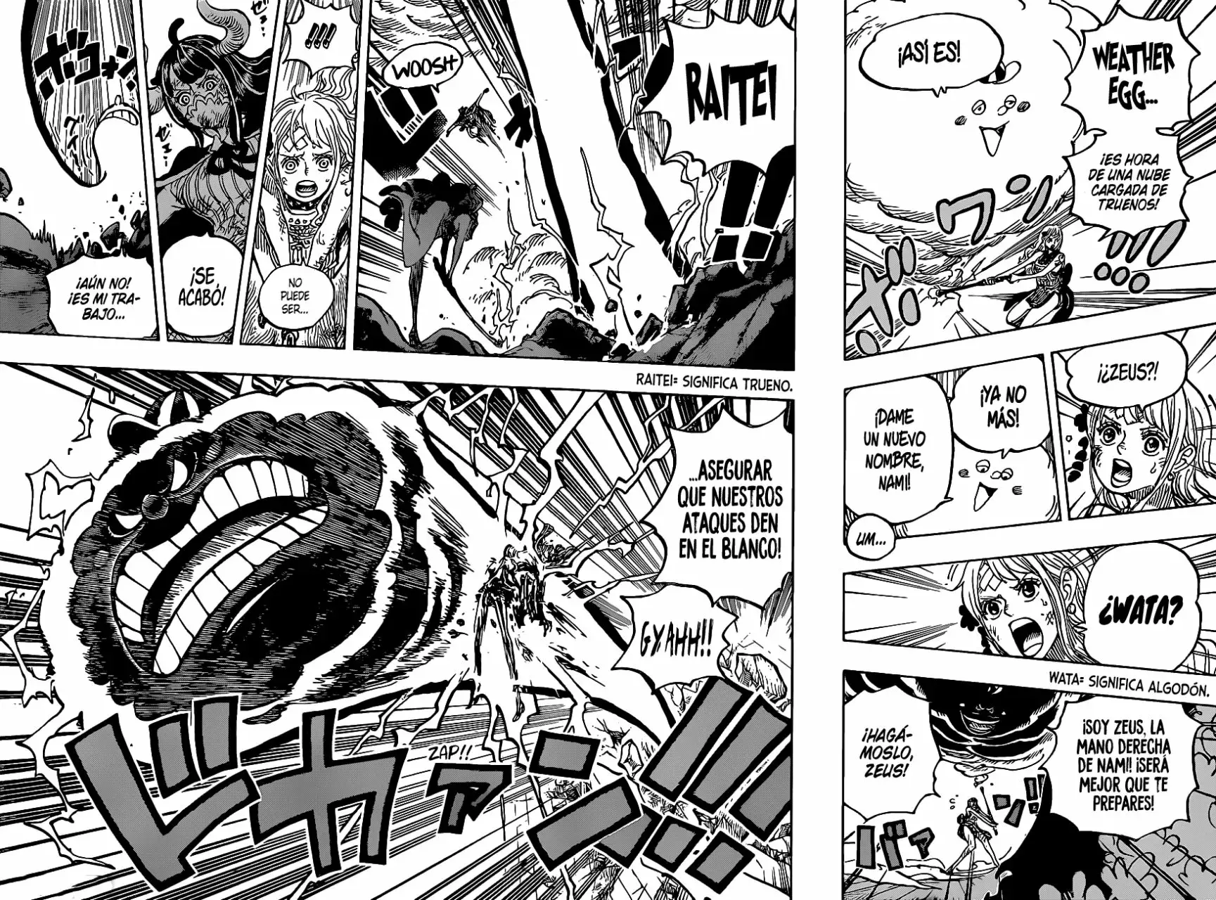 One Piece Capitulo 1016 página 10