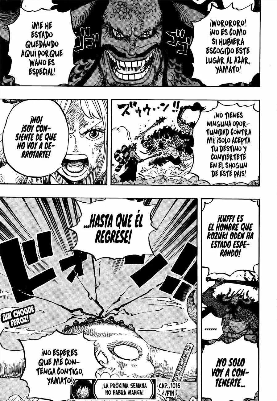 One Piece Capitulo 1016 página 16
