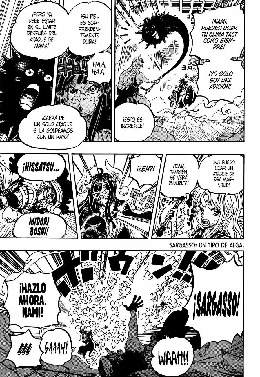 One Piece Capitulo 1016 página 9