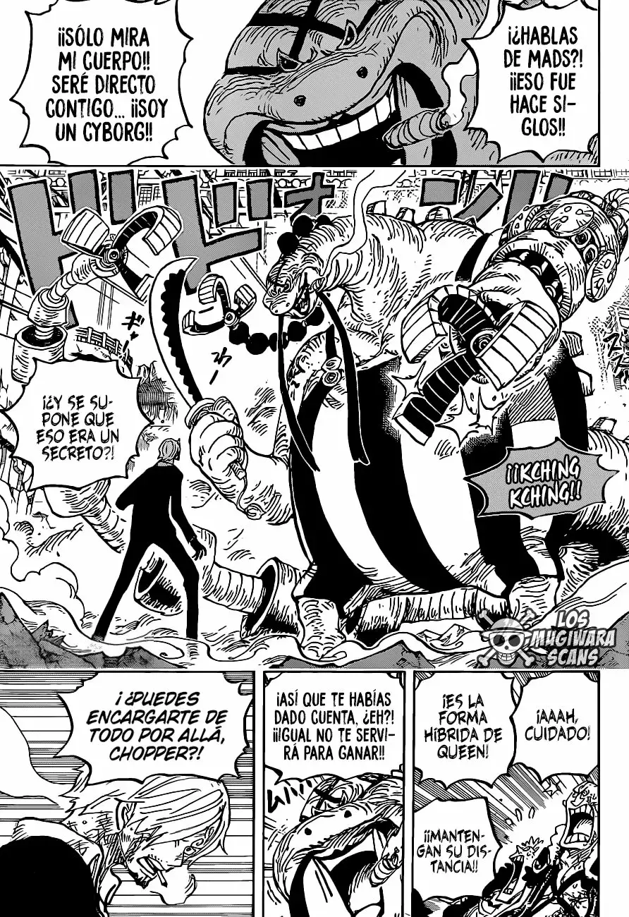 One Piece Capitulo 1017.5 página 12