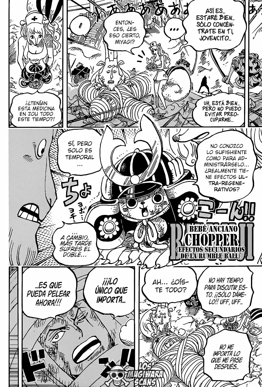 One Piece Capitulo 1017.5 página 13