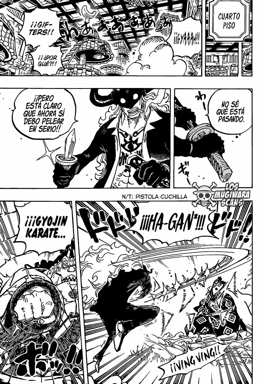 One Piece Capitulo 1017.5 página 14