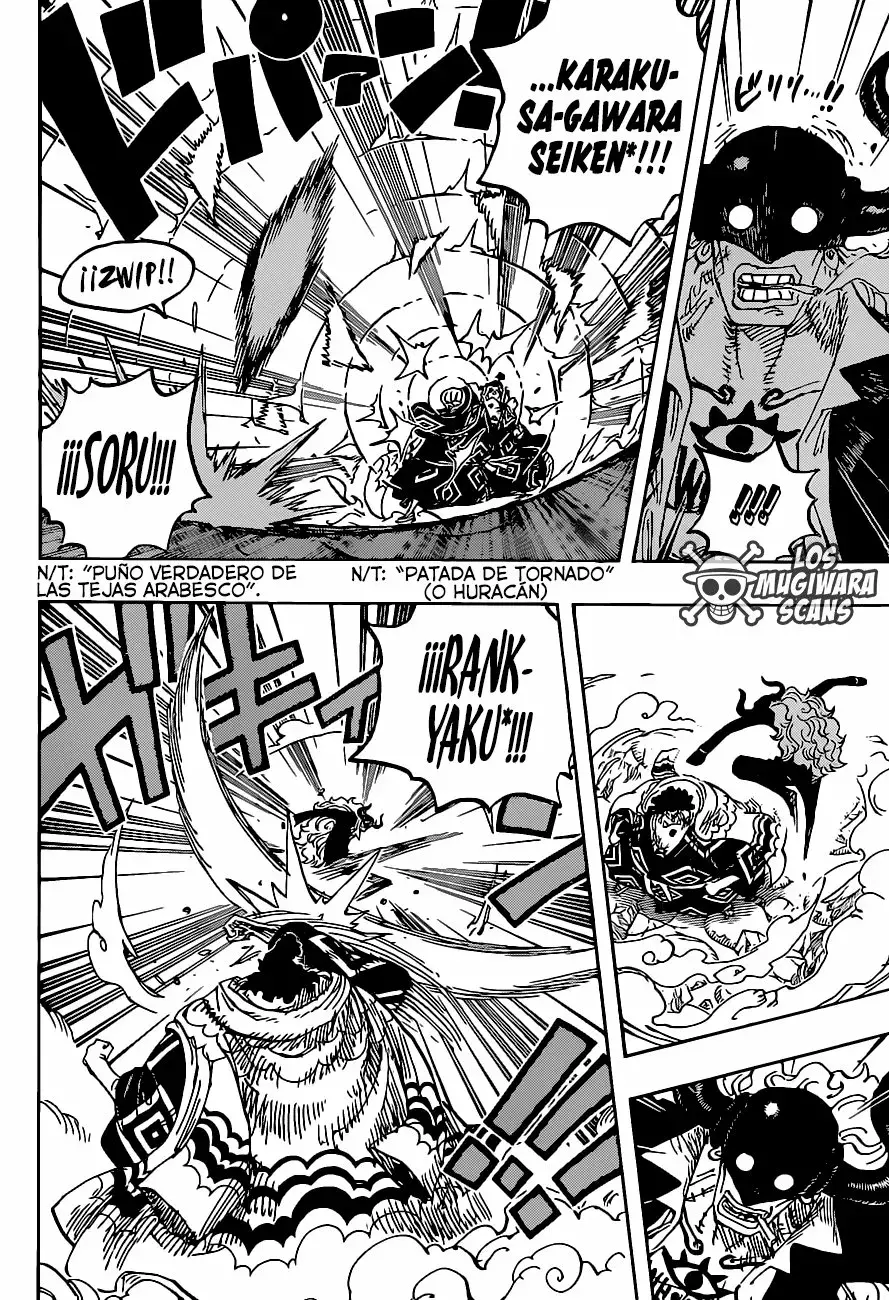 One Piece Capitulo 1017.5 página 15