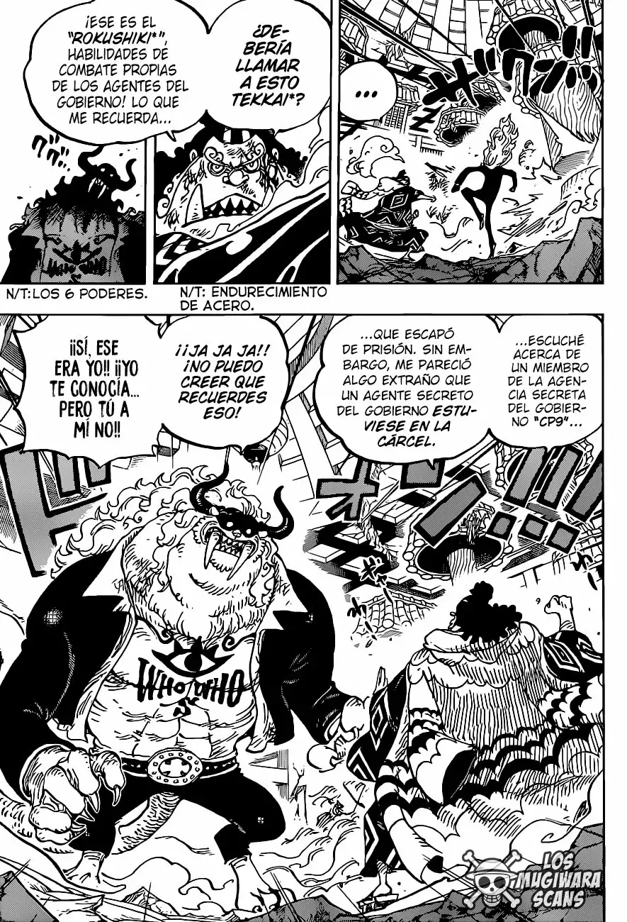 One Piece Capitulo 1017.5 página 16