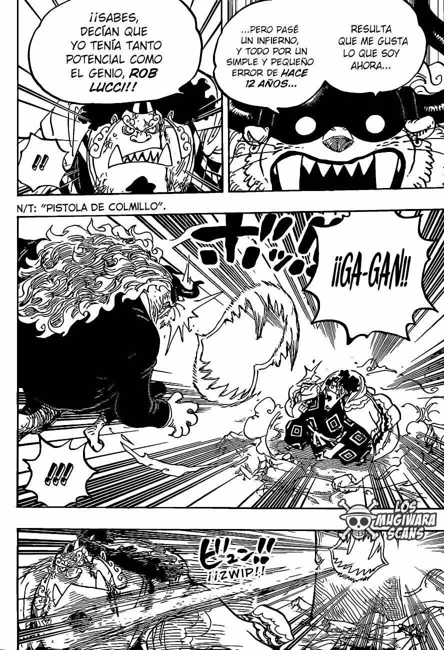 One Piece Capitulo 1017.5 página 17