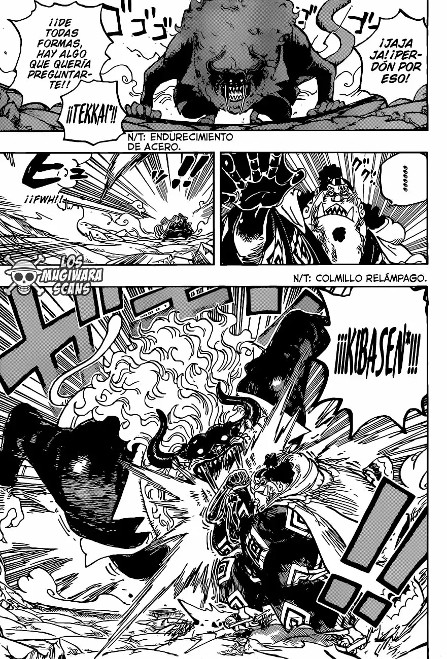 One Piece Capitulo 1018.5 página 10