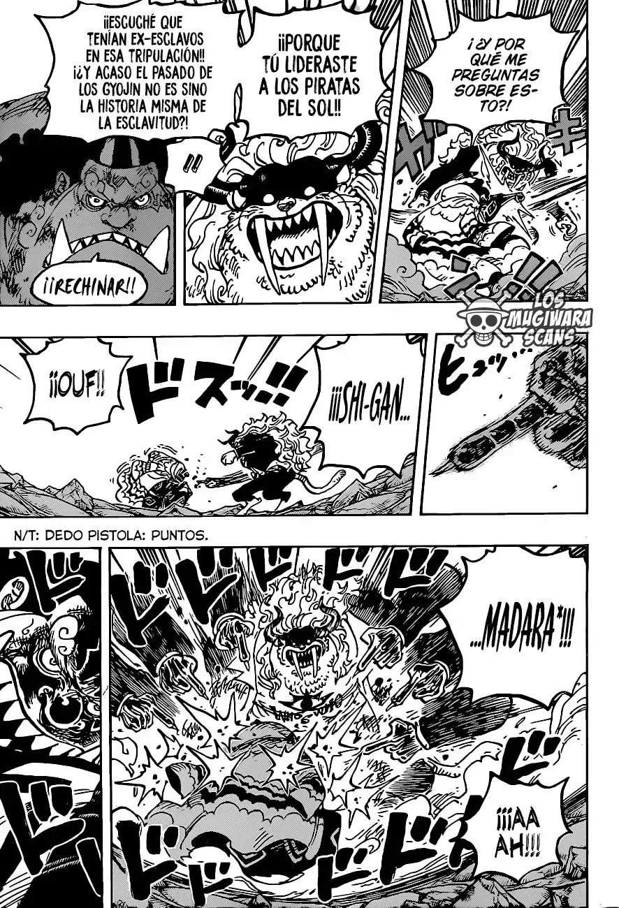 One Piece Capitulo 1018.5 página 14