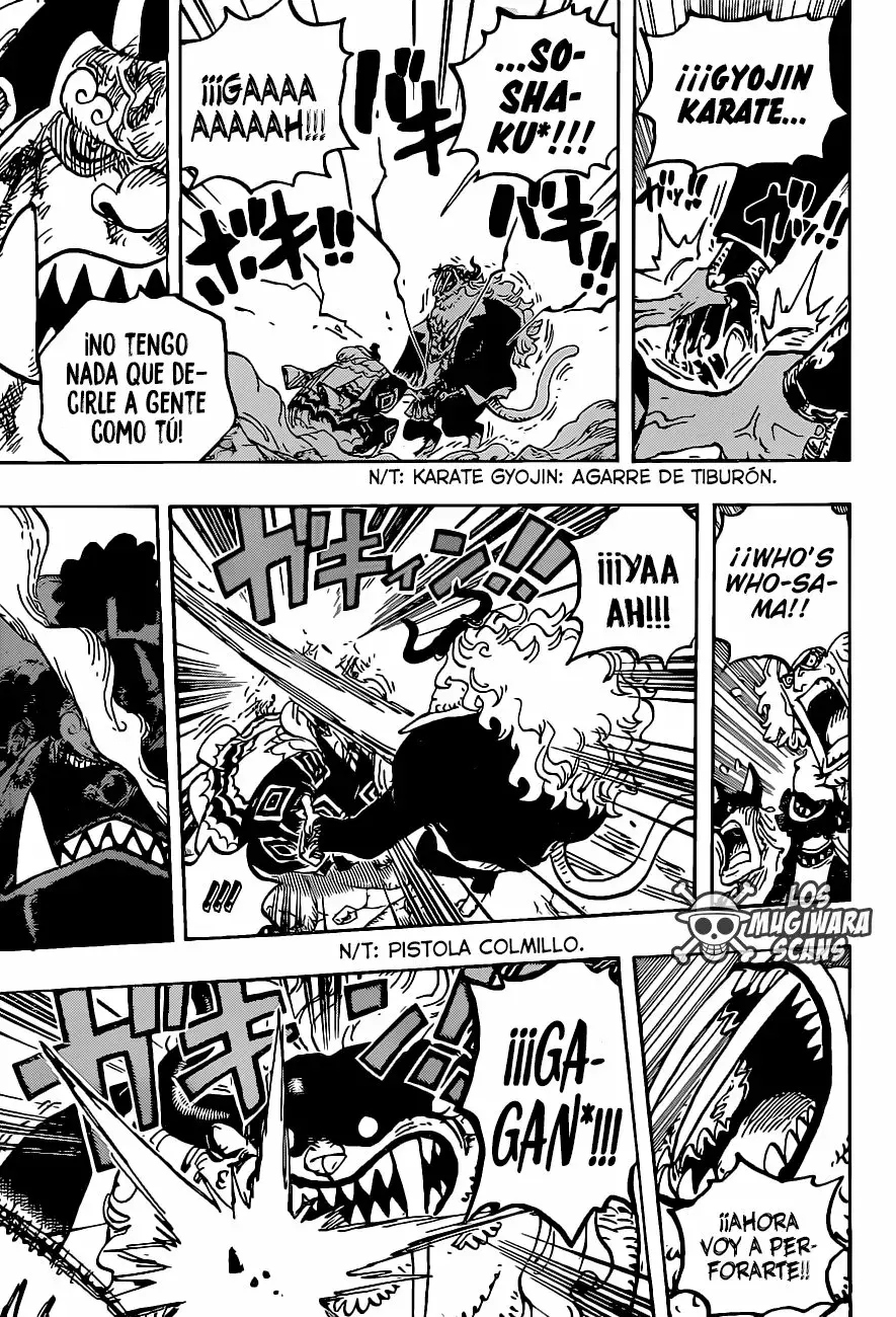 One Piece Capitulo 1018.5 página 16