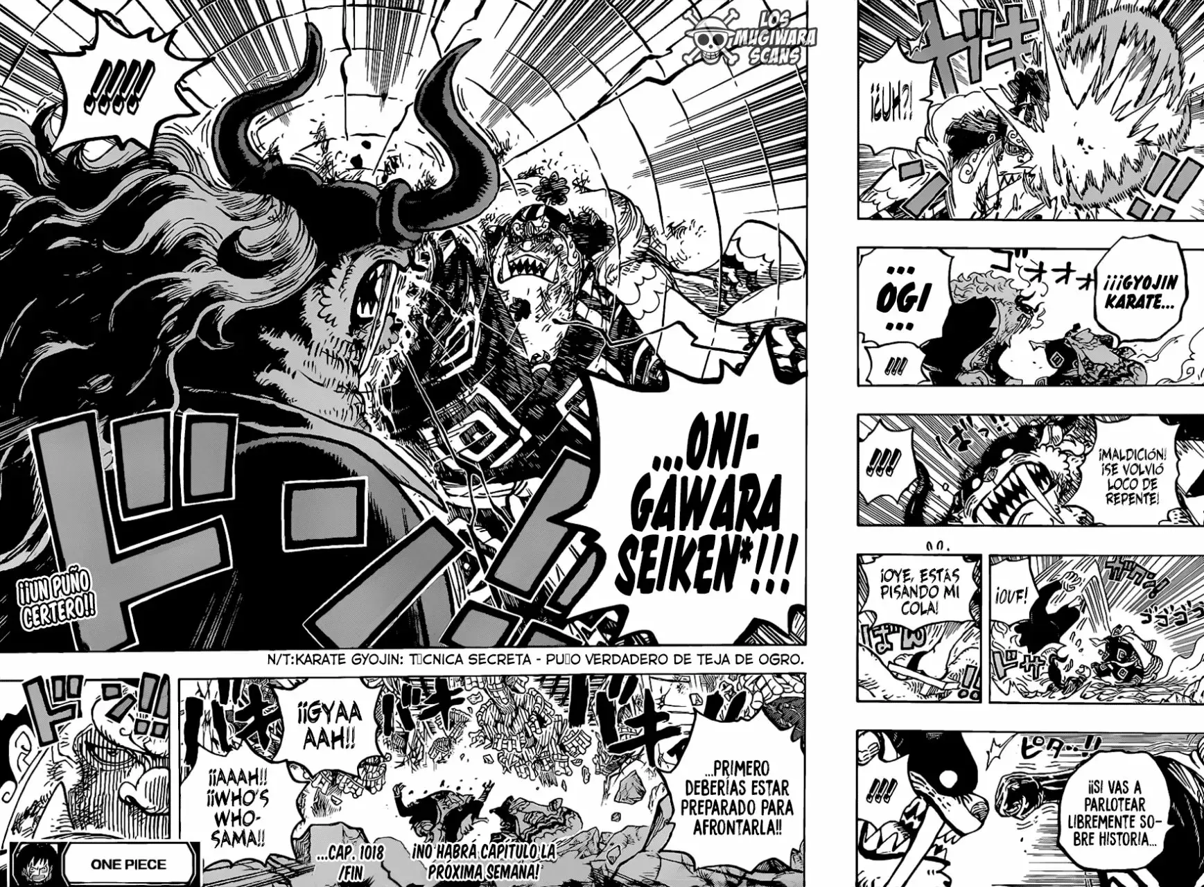 One Piece Capitulo 1018.5 página 17