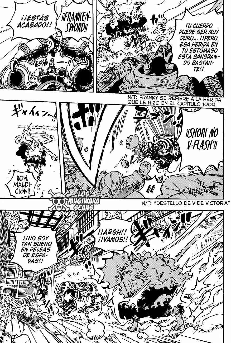 One Piece Capitulo 1019.5 página 14