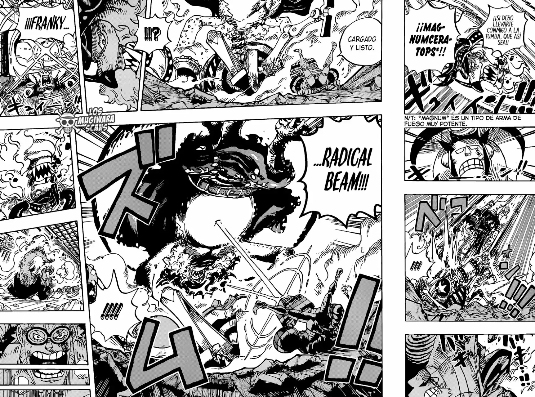 One Piece Capitulo 1019.5 página 17