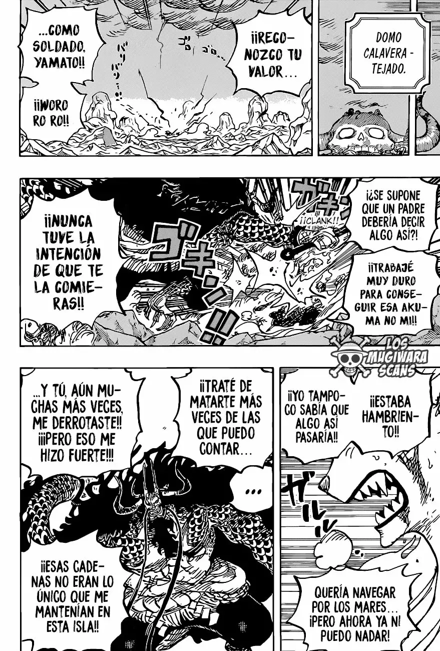 One Piece Capitulo 1019.5 página 18