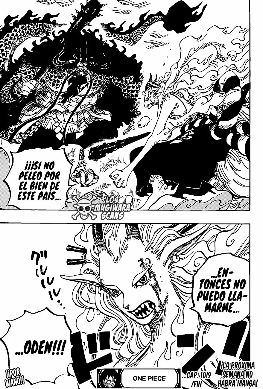 One Piece Capitulo 1019.5 página 19