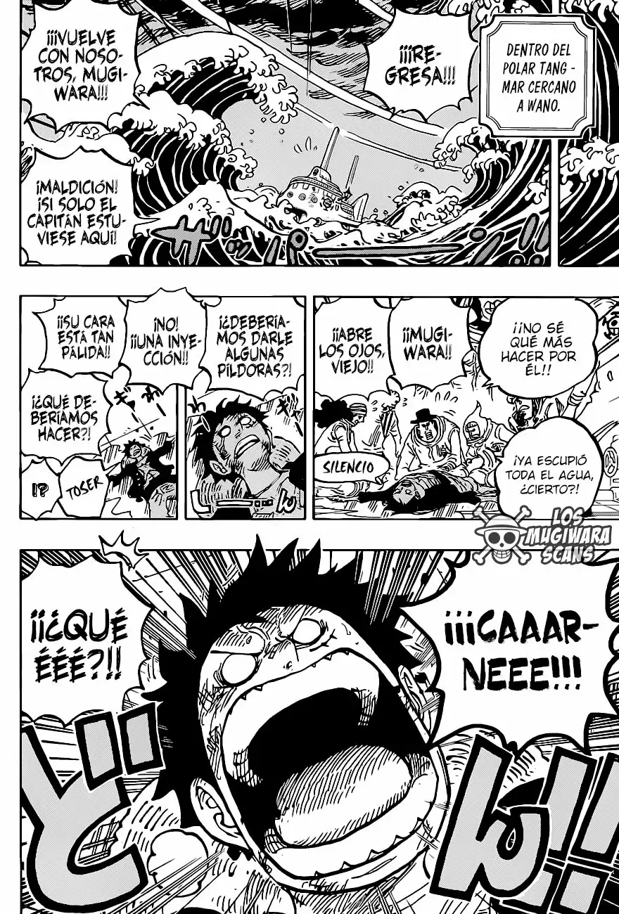 One Piece Capitulo 1019.5 página 5