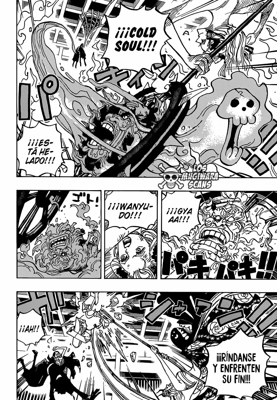 One Piece Capitulo 1020.5 página 13