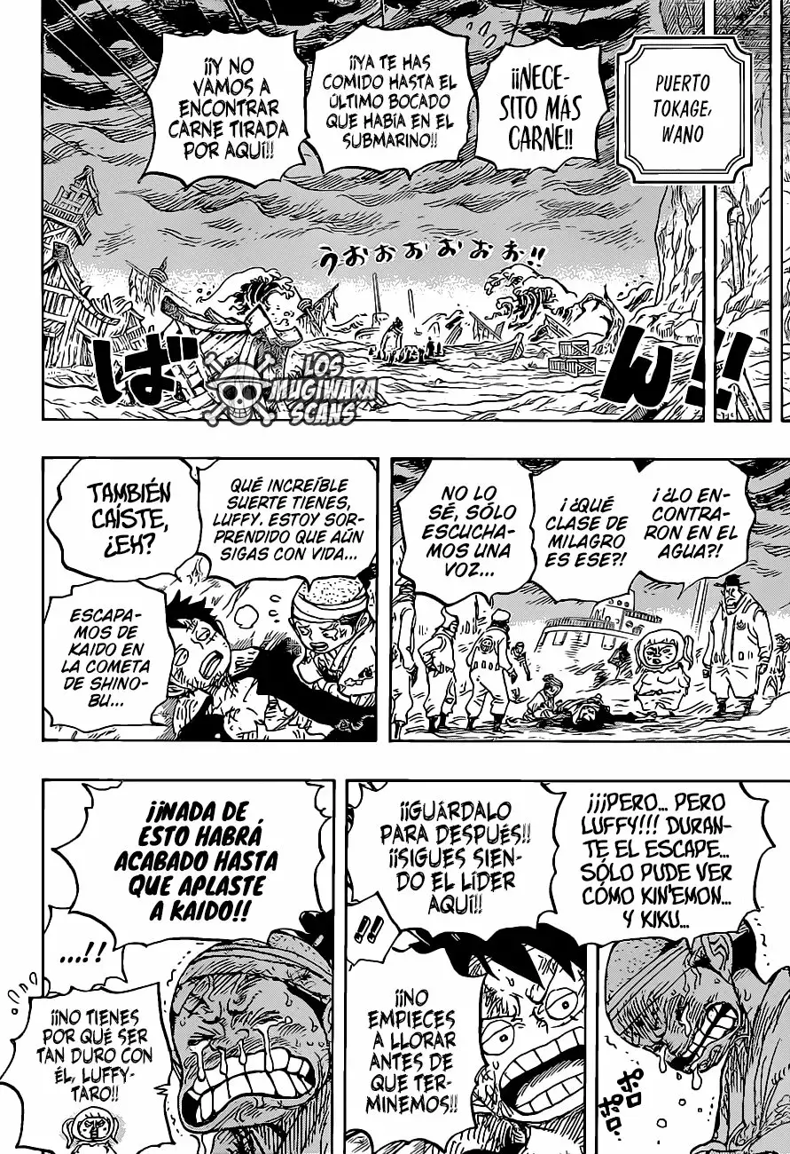 One Piece Capitulo 1020.5 página 17